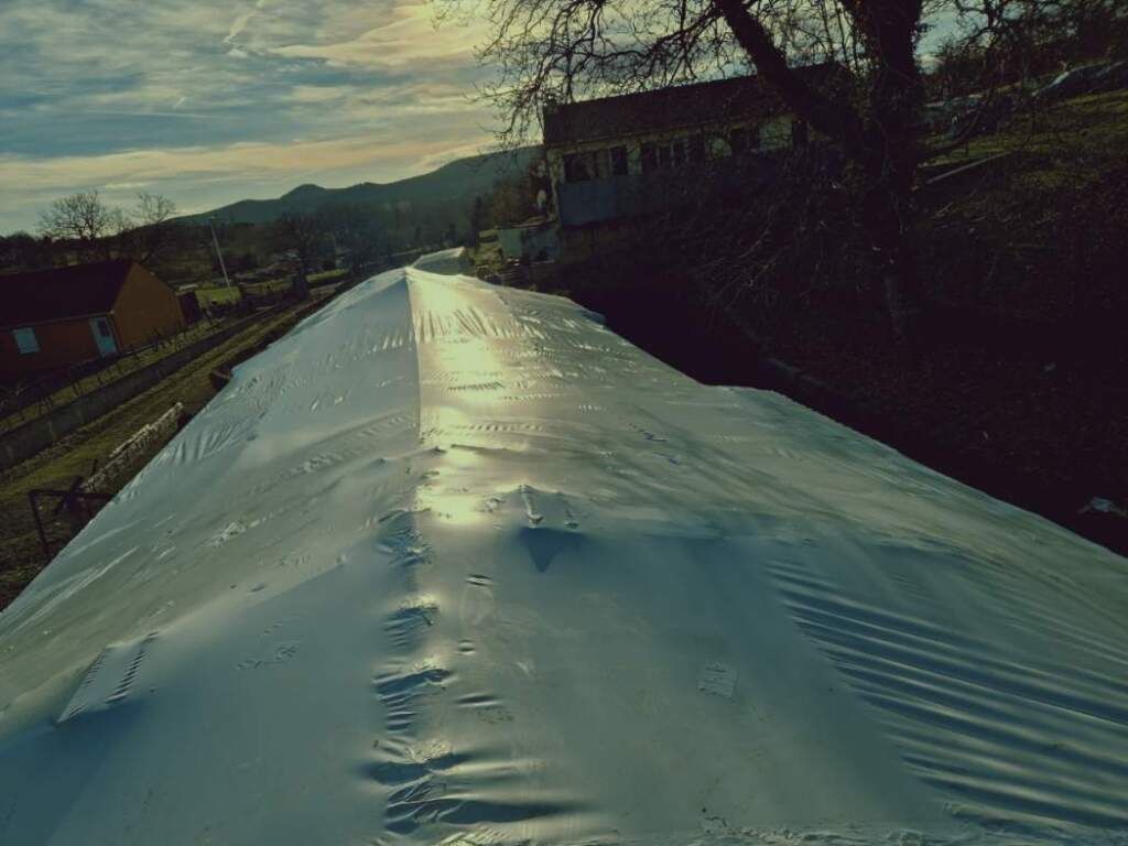 imageojm.png