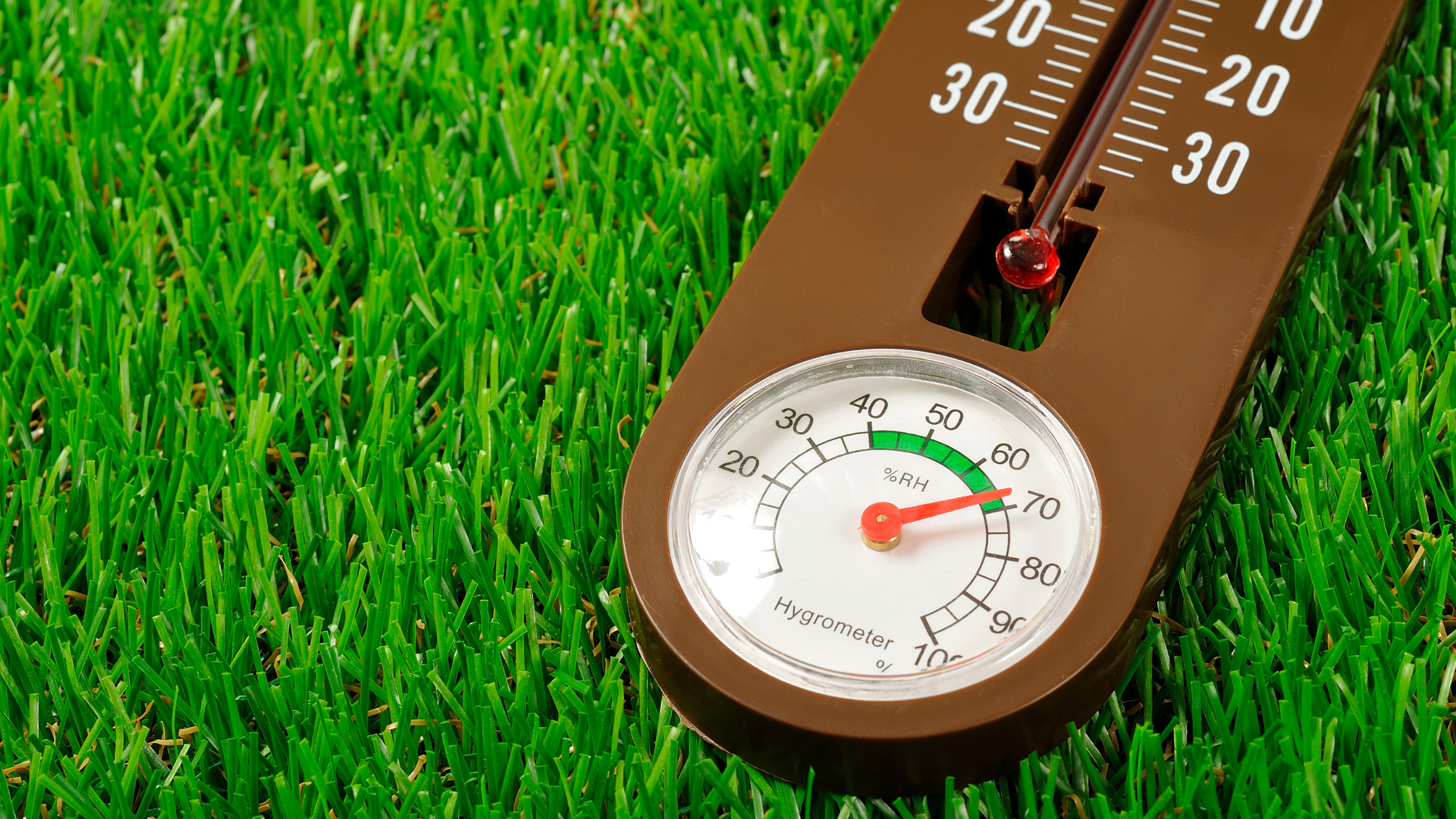 Preparing for Springtime Humidity with Polygon