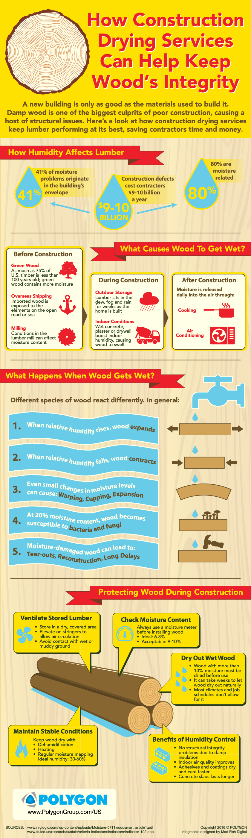 HOW CONSTRUCTION DRYING SERVICES CAN HELP KEEP WOOD’S INTEGRITY Infographic