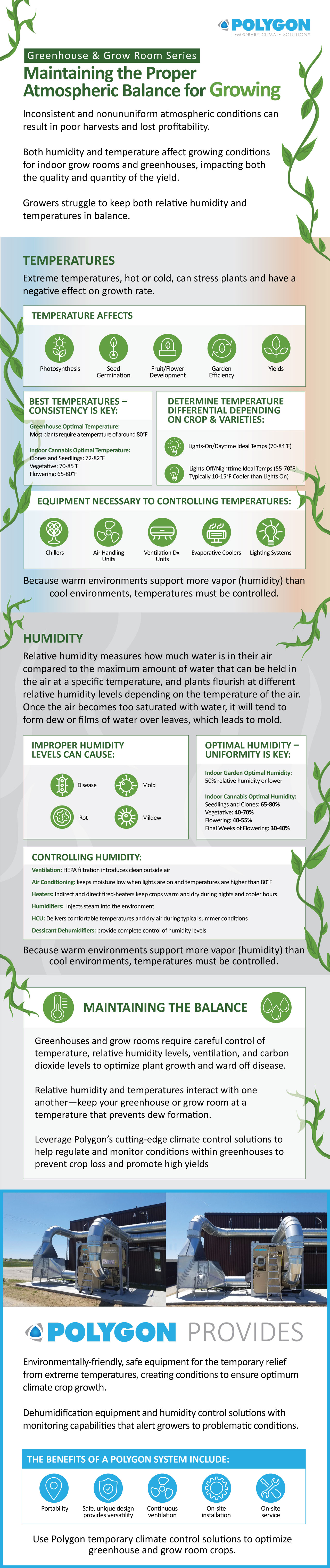 Growing Infographic Infographic