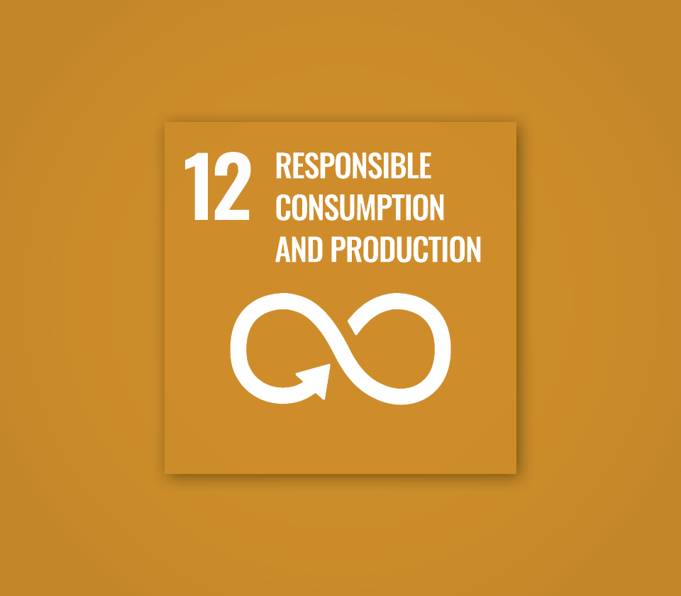 Polygon sustainability goal